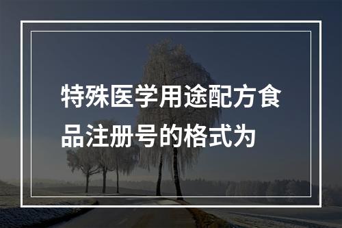 特殊医学用途配方食品注册号的格式为