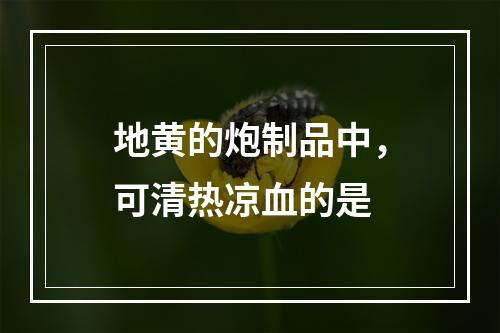 地黄的炮制品中，可清热凉血的是