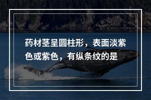 药材茎呈圆柱形，表面淡紫色或紫色，有纵条纹的是