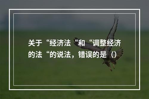 关于“经济法“和“调整经济的法“的说法，错误的是（）