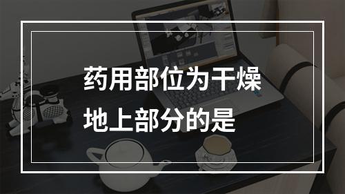 药用部位为干燥地上部分的是