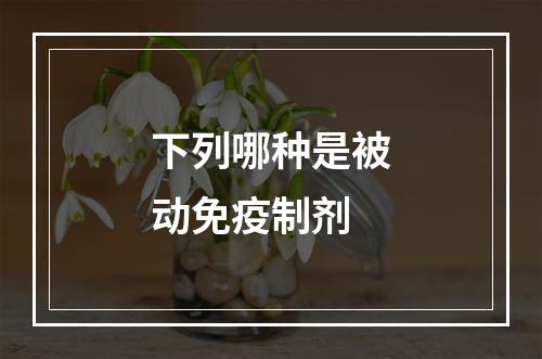 下列哪种是被动免疫制剂