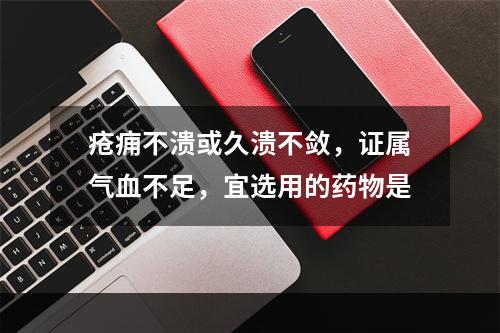 疮痈不溃或久溃不敛，证属气血不足，宜选用的药物是