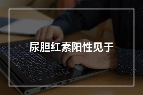 尿胆红素阳性见于