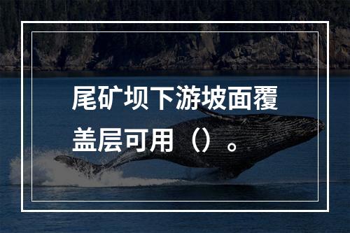 尾矿坝下游坡面覆盖层可用（）。