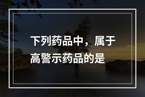 下列药品中，属于高警示药品的是