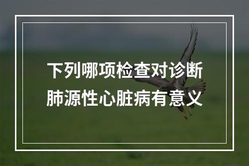 下列哪项检查对诊断肺源性心脏病有意义