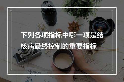 下列各项指标中哪一项是结核病最终控制的重要指标