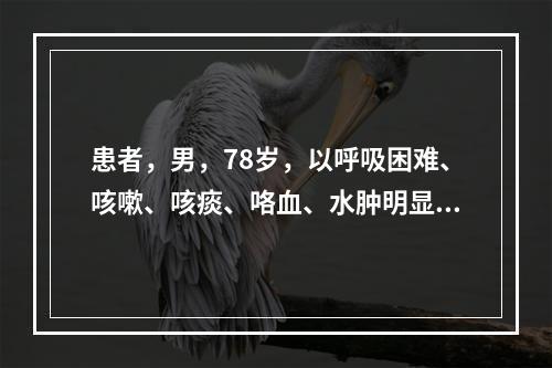 患者，男，78岁，以呼吸困难、咳嗽、咳痰、咯血、水肿明显就医