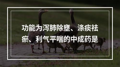 功能为泻肺除壅、涤痰祛瘀、利气平喘的中成药是