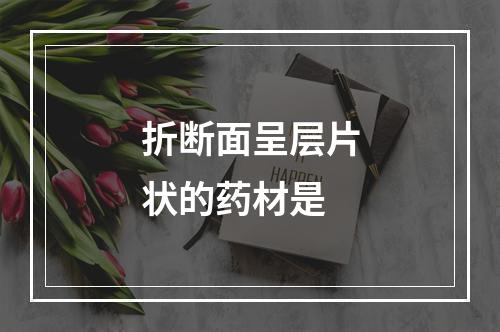 折断面呈层片状的药材是