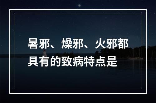 暑邪、燥邪、火邪都具有的致病特点是