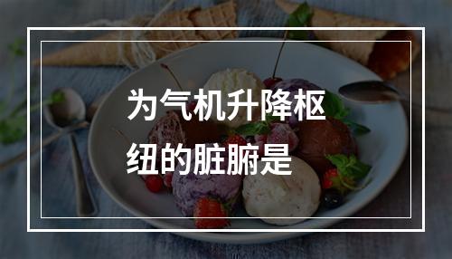 为气机升降枢纽的脏腑是