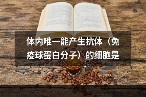 体内唯一能产生抗体（免疫球蛋白分子）的细胞是