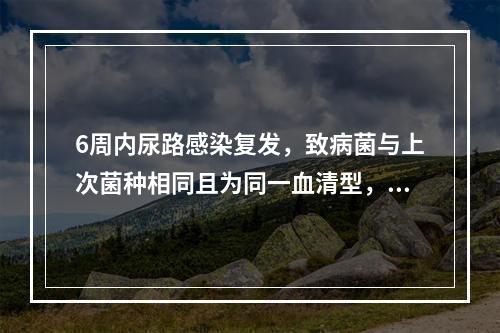 6周内尿路感染复发，致病菌与上次菌种相同且为同一血清型，应该