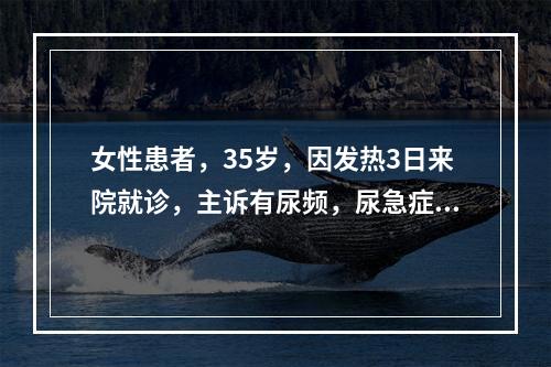 女性患者，35岁，因发热3日来院就诊，主诉有尿频，尿急症状，