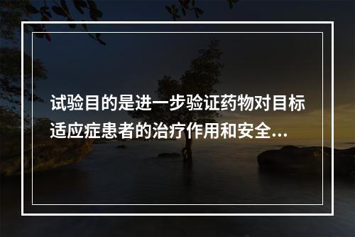 试验目的是进一步验证药物对目标适应症患者的治疗作用和安全性，