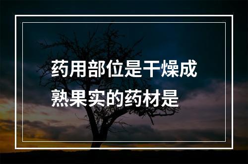 药用部位是干燥成熟果实的药材是