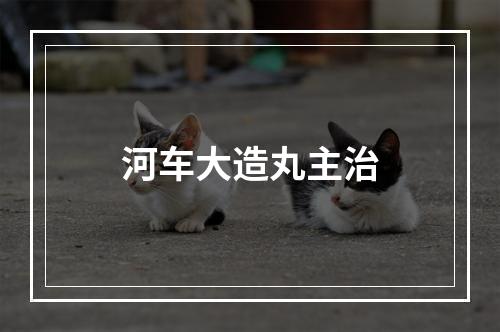 河车大造丸主治