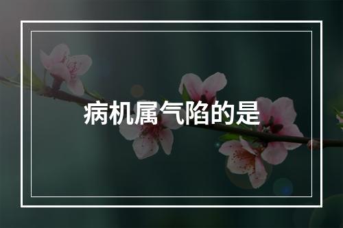 病机属气陷的是