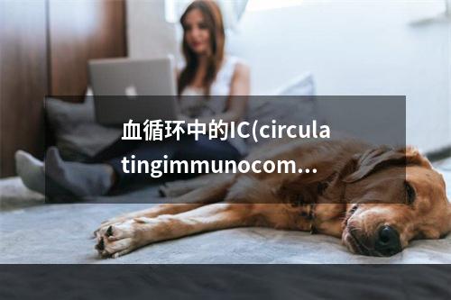 血循环中的IC(circulatingimmunocompl