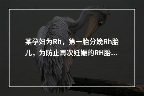 某孕妇为Rh，第一胎分娩Rh胎儿，为防止再次妊娠的RH胎儿产