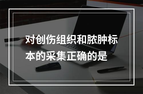 对创伤组织和脓肿标本的采集正确的是