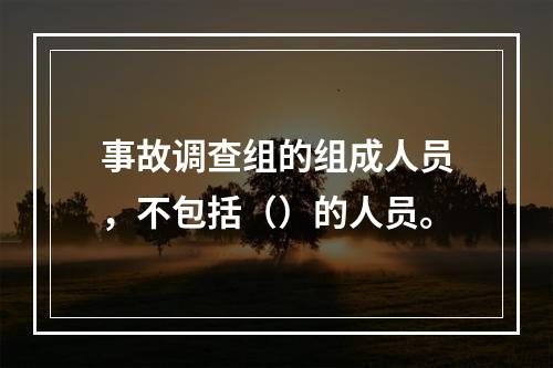 事故调查组的组成人员，不包括（）的人员。