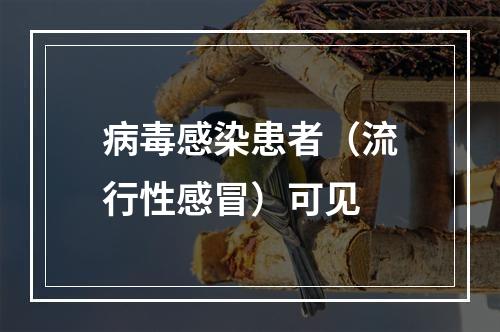 病毒感染患者（流行性感冒）可见