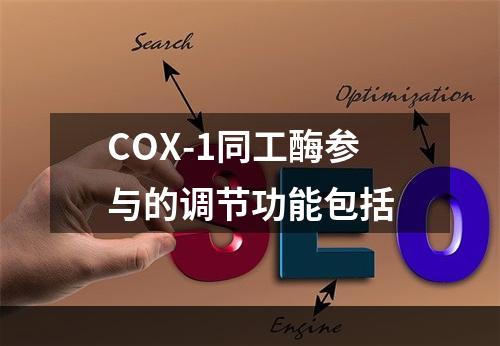 COX-1同工酶参与的调节功能包括