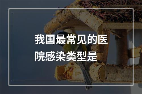 我国最常见的医院感染类型是