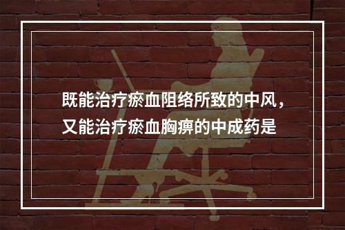 既能治疗瘀血阻络所致的中风，又能治疗瘀血胸痹的中成药是