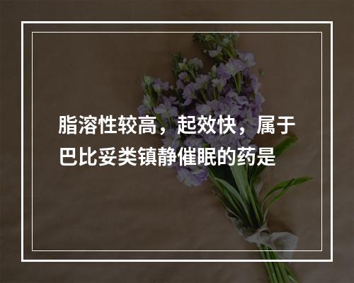 脂溶性较高，起效快，属于巴比妥类镇静催眠的药是