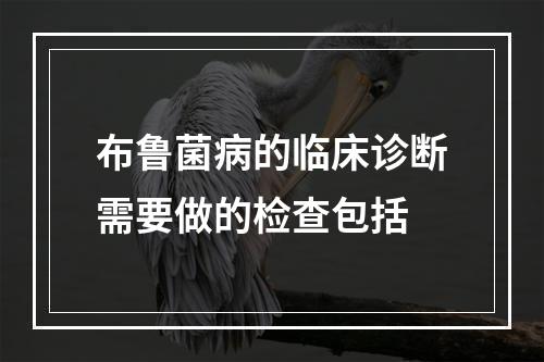 布鲁菌病的临床诊断需要做的检查包括