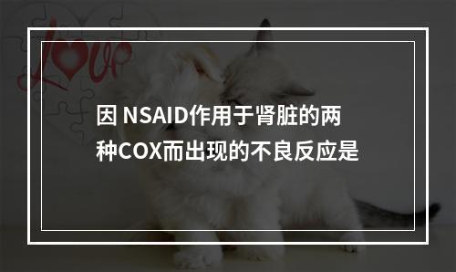 因 NSAID作用于肾脏的两种COX而出现的不良反应是