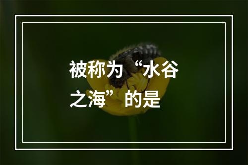 被称为“水谷之海”的是