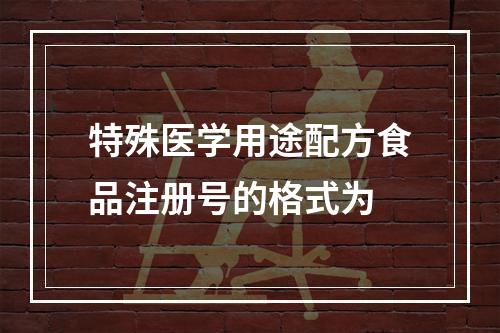 特殊医学用途配方食品注册号的格式为