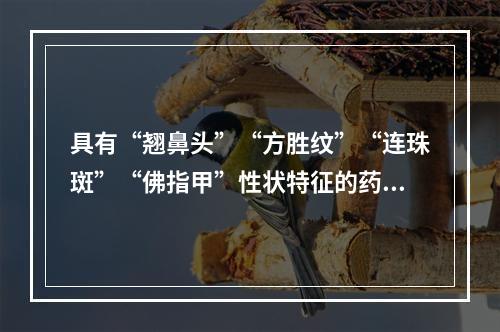 具有“翘鼻头”“方胜纹”“连珠斑”“佛指甲”性状特征的药材是