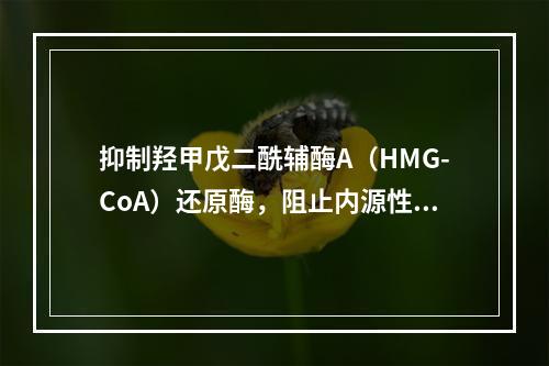 抑制羟甲戊二酰辅酶A（HMG-CoA）还原酶，阻止内源性胆固