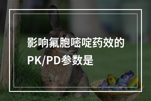 影响氟胞嘧啶药效的PK/PD参数是