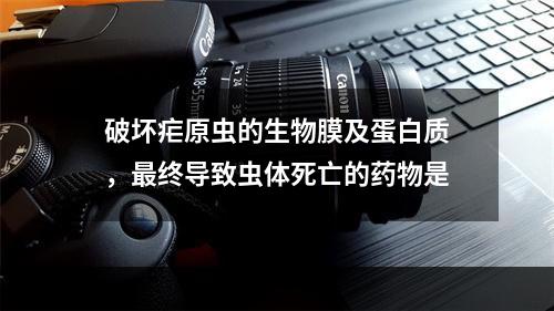 破坏疟原虫的生物膜及蛋白质，最终导致虫体死亡的药物是