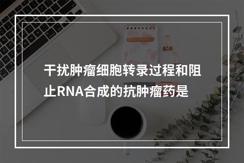 干扰肿瘤细胞转录过程和阻止RNA合成的抗肿瘤药是