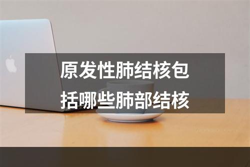 原发性肺结核包括哪些肺部结核