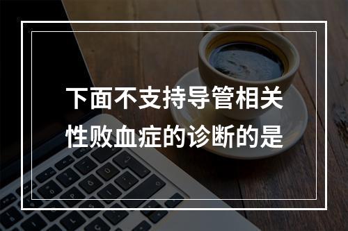 下面不支持导管相关性败血症的诊断的是