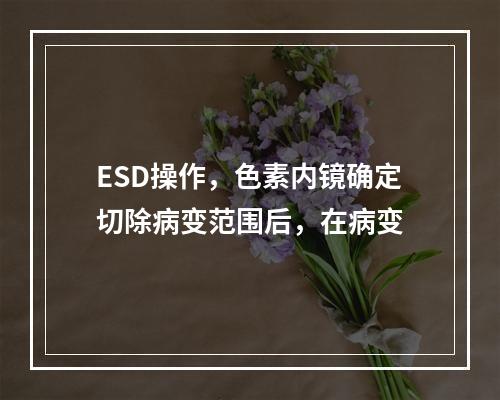 ESD操作，色素内镜确定切除病变范围后，在病变