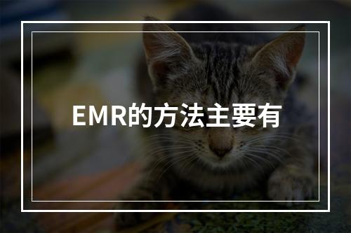 EMR的方法主要有