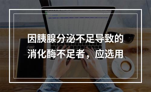 因胰腺分泌不足导致的消化酶不足者，应选用