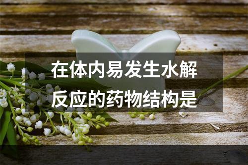 在体内易发生水解反应的药物结构是