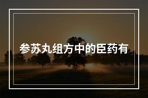 参苏丸组方中的臣药有