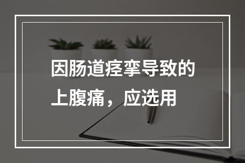 因肠道痉挛导致的上腹痛，应选用